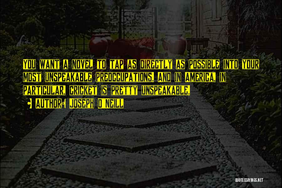 Joseph O'Neill Quotes: You Want A Novel To Tap As Directly As Possible Into Your Most Unspeakable Preoccupations. And In America, In Particular,