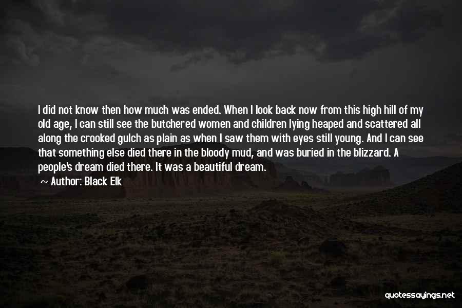 Black Elk Quotes: I Did Not Know Then How Much Was Ended. When I Look Back Now From This High Hill Of My