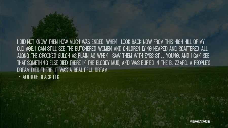 Black Elk Quotes: I Did Not Know Then How Much Was Ended. When I Look Back Now From This High Hill Of My