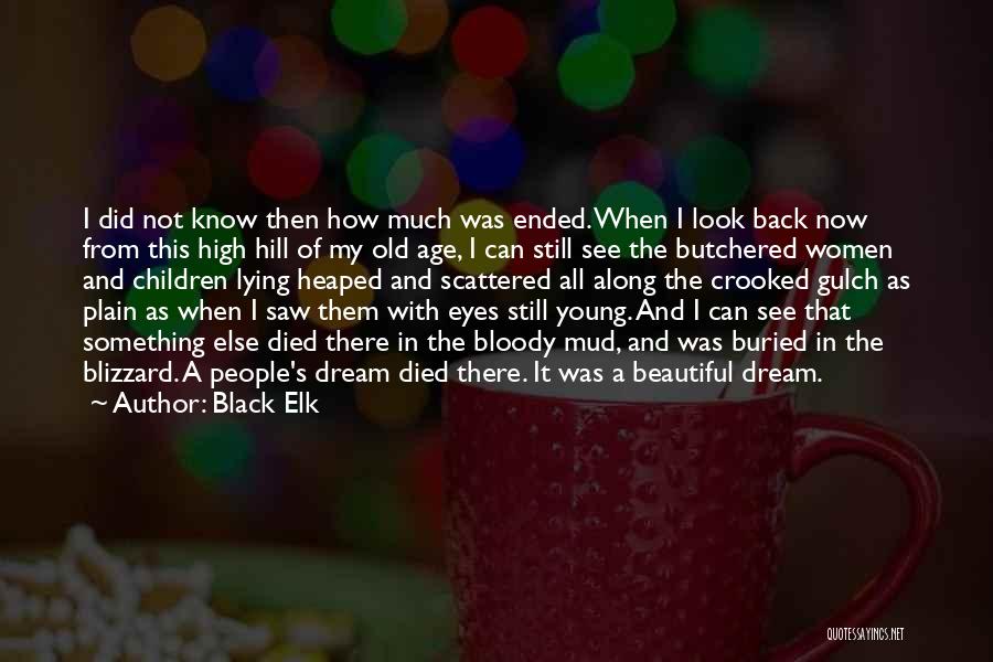 Black Elk Quotes: I Did Not Know Then How Much Was Ended. When I Look Back Now From This High Hill Of My