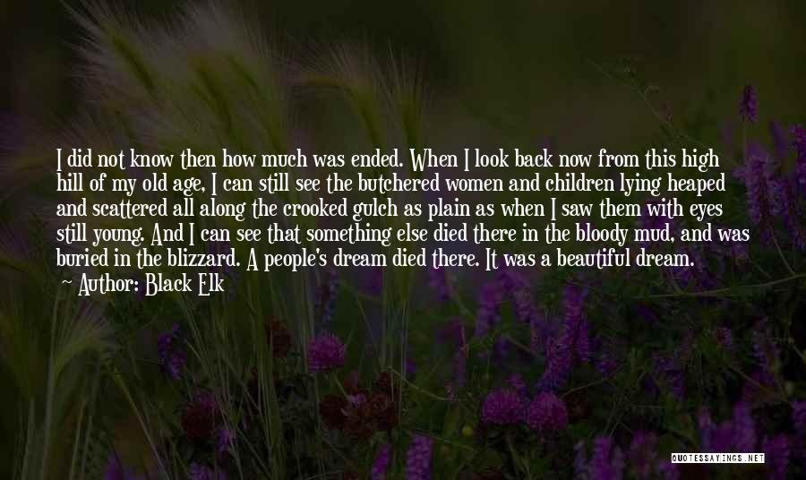 Black Elk Quotes: I Did Not Know Then How Much Was Ended. When I Look Back Now From This High Hill Of My