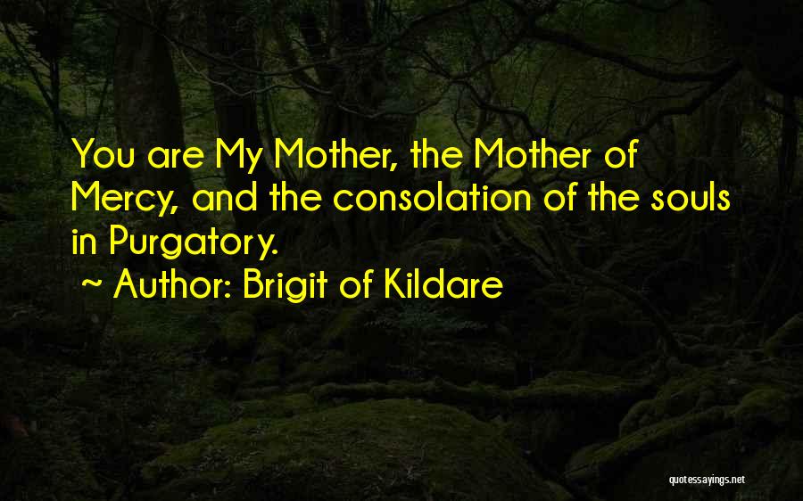 Brigit Of Kildare Quotes: You Are My Mother, The Mother Of Mercy, And The Consolation Of The Souls In Purgatory.