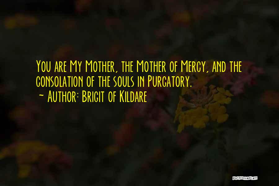 Brigit Of Kildare Quotes: You Are My Mother, The Mother Of Mercy, And The Consolation Of The Souls In Purgatory.