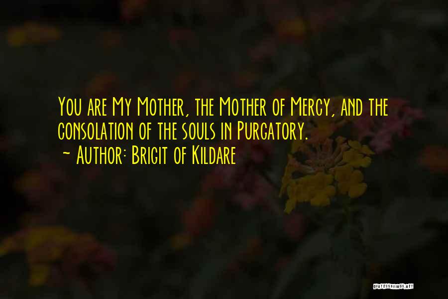 Brigit Of Kildare Quotes: You Are My Mother, The Mother Of Mercy, And The Consolation Of The Souls In Purgatory.