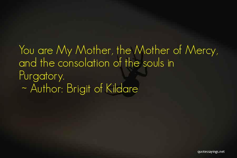 Brigit Of Kildare Quotes: You Are My Mother, The Mother Of Mercy, And The Consolation Of The Souls In Purgatory.