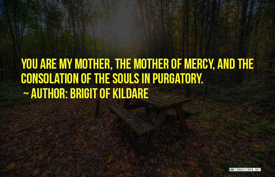 Brigit Of Kildare Quotes: You Are My Mother, The Mother Of Mercy, And The Consolation Of The Souls In Purgatory.