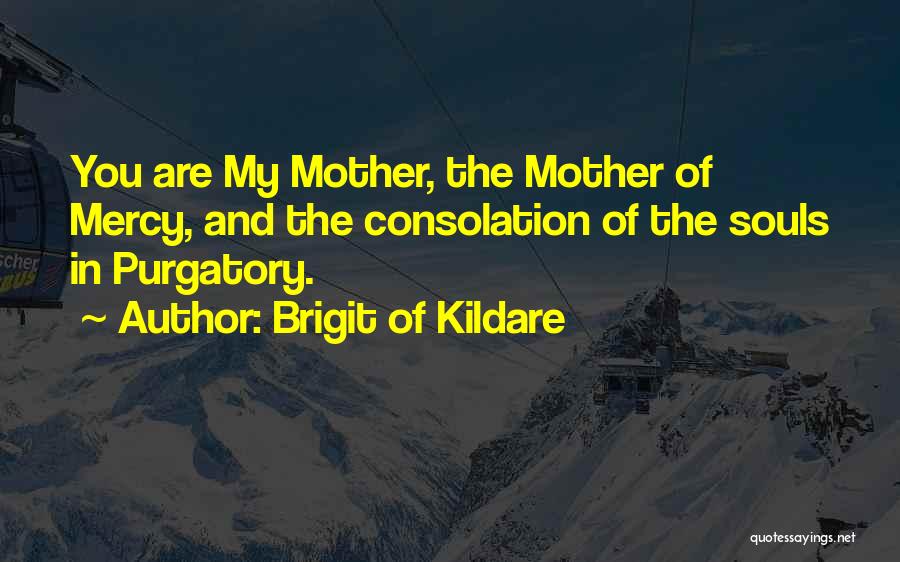 Brigit Of Kildare Quotes: You Are My Mother, The Mother Of Mercy, And The Consolation Of The Souls In Purgatory.