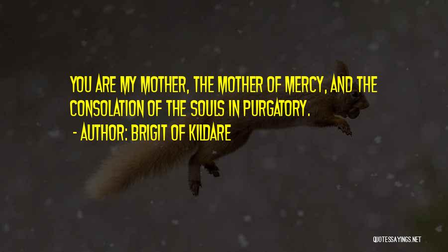 Brigit Of Kildare Quotes: You Are My Mother, The Mother Of Mercy, And The Consolation Of The Souls In Purgatory.