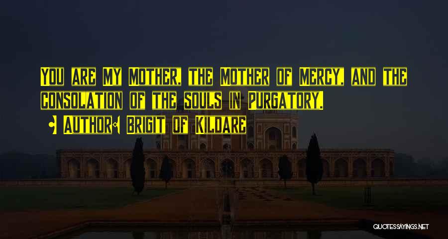 Brigit Of Kildare Quotes: You Are My Mother, The Mother Of Mercy, And The Consolation Of The Souls In Purgatory.