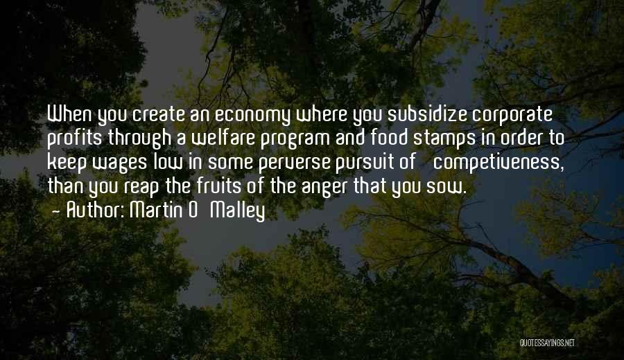 Martin O'Malley Quotes: When You Create An Economy Where You Subsidize Corporate Profits Through A Welfare Program And Food Stamps In Order To