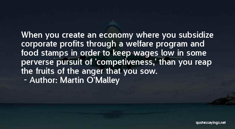 Martin O'Malley Quotes: When You Create An Economy Where You Subsidize Corporate Profits Through A Welfare Program And Food Stamps In Order To