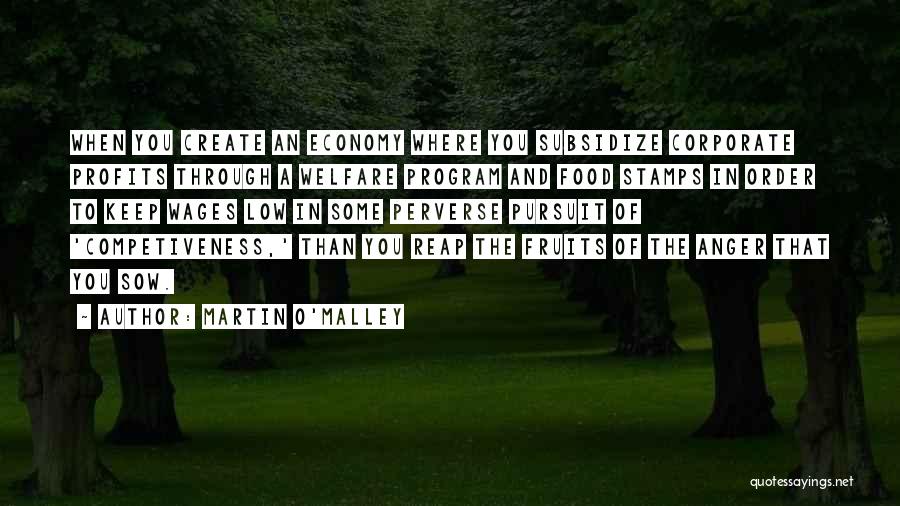 Martin O'Malley Quotes: When You Create An Economy Where You Subsidize Corporate Profits Through A Welfare Program And Food Stamps In Order To