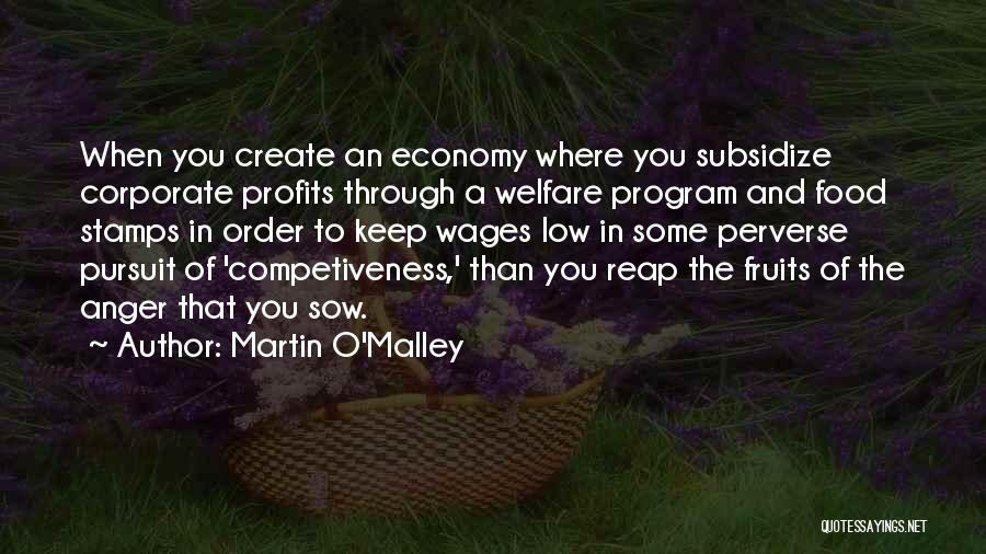 Martin O'Malley Quotes: When You Create An Economy Where You Subsidize Corporate Profits Through A Welfare Program And Food Stamps In Order To