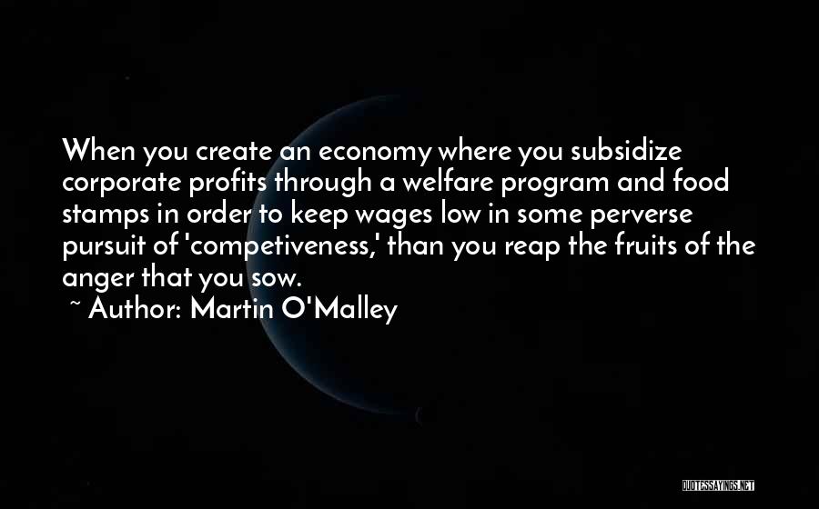 Martin O'Malley Quotes: When You Create An Economy Where You Subsidize Corporate Profits Through A Welfare Program And Food Stamps In Order To