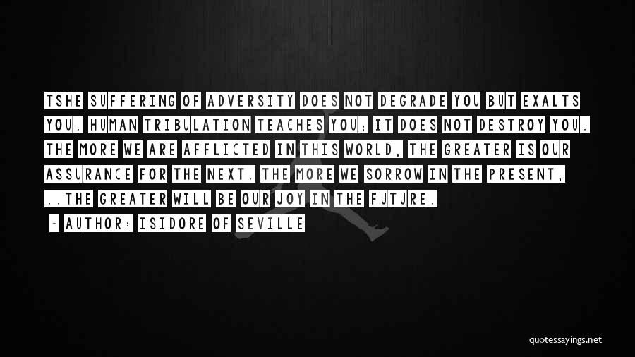 Isidore Of Seville Quotes: Tshe Suffering Of Adversity Does Not Degrade You But Exalts You. Human Tribulation Teaches You; It Does Not Destroy You.