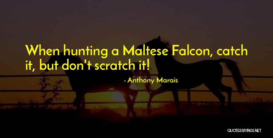 2324 Limestone Quotes By Anthony Marais 2324 Limestone Quotes By Anthony Marais
