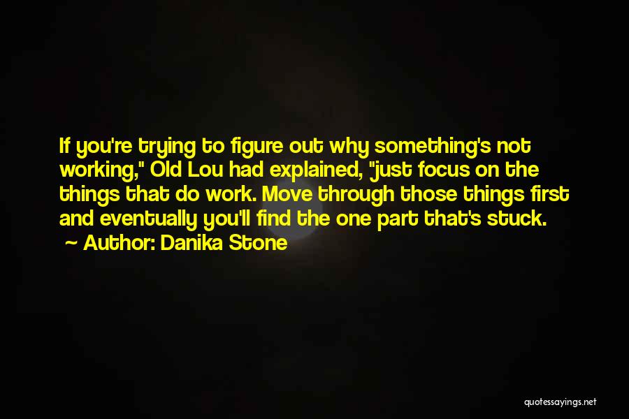 Danika Stone Quotes: If You're Trying To Figure Out Why Something's Not Working, Old Lou Had Explained, Just Focus On The Things That