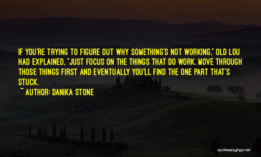 Danika Stone Quotes: If You're Trying To Figure Out Why Something's Not Working, Old Lou Had Explained, Just Focus On The Things That