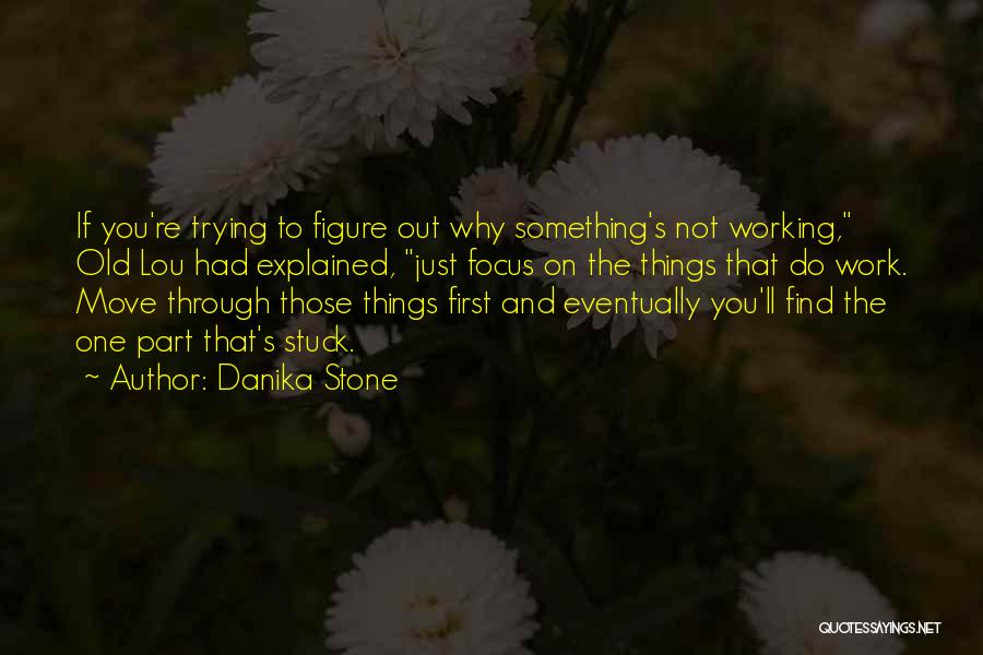 Danika Stone Quotes: If You're Trying To Figure Out Why Something's Not Working, Old Lou Had Explained, Just Focus On The Things That