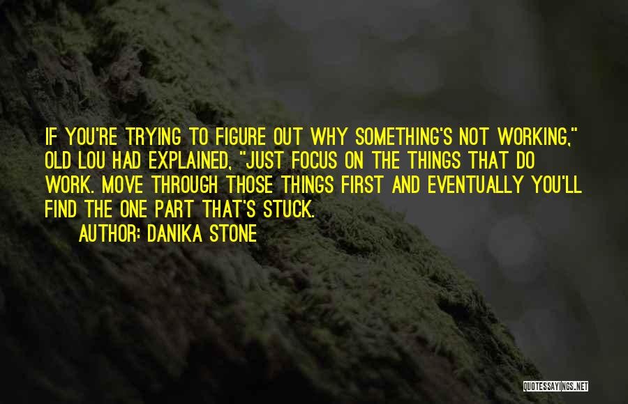 Danika Stone Quotes: If You're Trying To Figure Out Why Something's Not Working, Old Lou Had Explained, Just Focus On The Things That