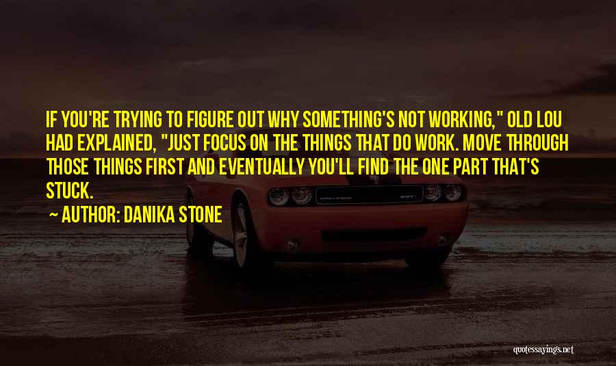 Danika Stone Quotes: If You're Trying To Figure Out Why Something's Not Working, Old Lou Had Explained, Just Focus On The Things That