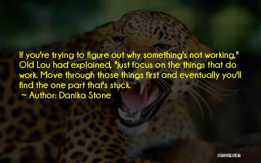 Danika Stone Quotes: If You're Trying To Figure Out Why Something's Not Working, Old Lou Had Explained, Just Focus On The Things That