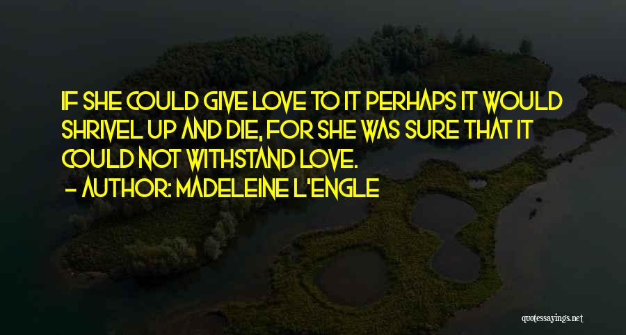 Madeleine L'Engle Quotes: If She Could Give Love To It Perhaps It Would Shrivel Up And Die, For She Was Sure That It