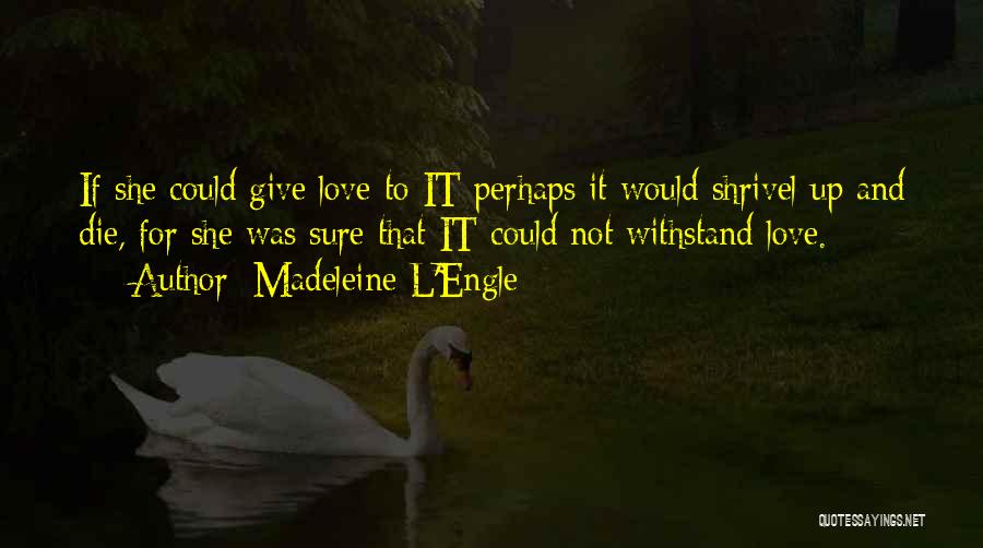 Madeleine L'Engle Quotes: If She Could Give Love To It Perhaps It Would Shrivel Up And Die, For She Was Sure That It