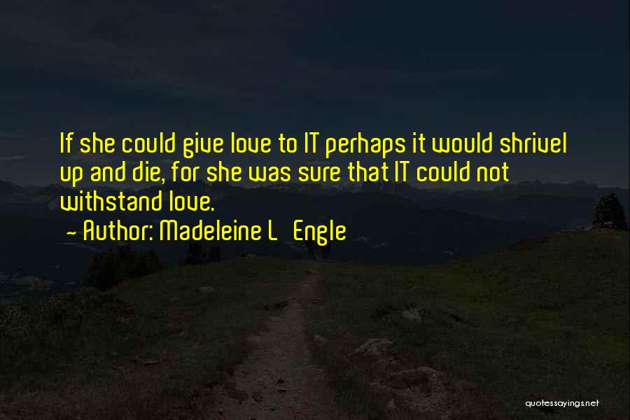 Madeleine L'Engle Quotes: If She Could Give Love To It Perhaps It Would Shrivel Up And Die, For She Was Sure That It