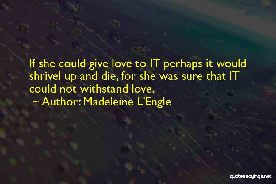 Madeleine L'Engle Quotes: If She Could Give Love To It Perhaps It Would Shrivel Up And Die, For She Was Sure That It