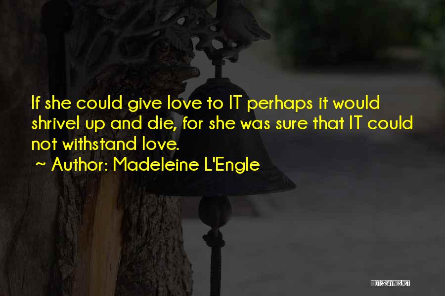 Madeleine L'Engle Quotes: If She Could Give Love To It Perhaps It Would Shrivel Up And Die, For She Was Sure That It