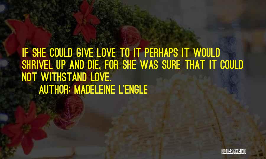 Madeleine L'Engle Quotes: If She Could Give Love To It Perhaps It Would Shrivel Up And Die, For She Was Sure That It