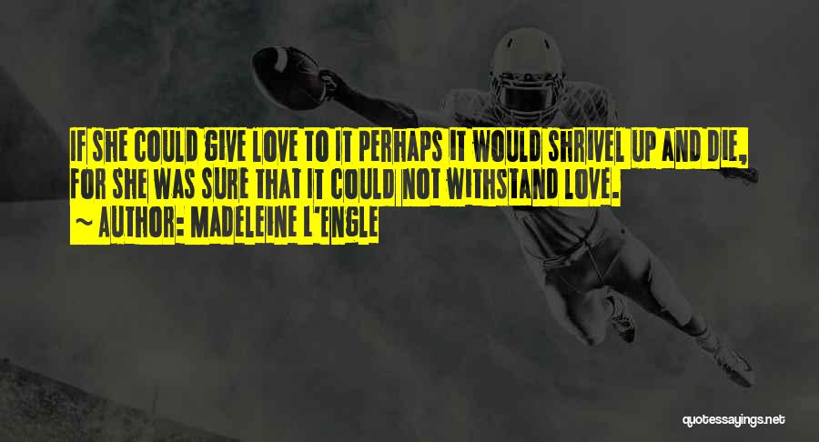 Madeleine L'Engle Quotes: If She Could Give Love To It Perhaps It Would Shrivel Up And Die, For She Was Sure That It