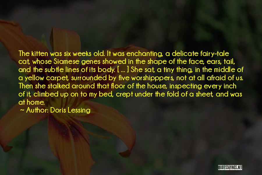 Doris Lessing Quotes: The Kitten Was Six Weeks Old. It Was Enchanting, A Delicate Fairy-tale Cat, Whose Siamese Genes Showed In The Shape