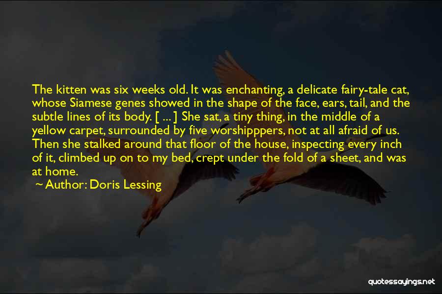 Doris Lessing Quotes: The Kitten Was Six Weeks Old. It Was Enchanting, A Delicate Fairy-tale Cat, Whose Siamese Genes Showed In The Shape