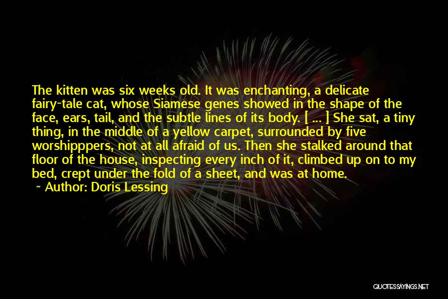 Doris Lessing Quotes: The Kitten Was Six Weeks Old. It Was Enchanting, A Delicate Fairy-tale Cat, Whose Siamese Genes Showed In The Shape