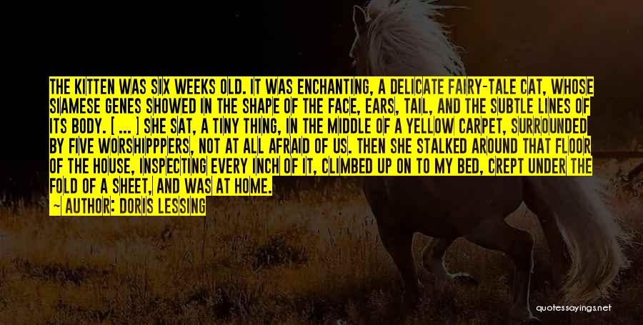 Doris Lessing Quotes: The Kitten Was Six Weeks Old. It Was Enchanting, A Delicate Fairy-tale Cat, Whose Siamese Genes Showed In The Shape