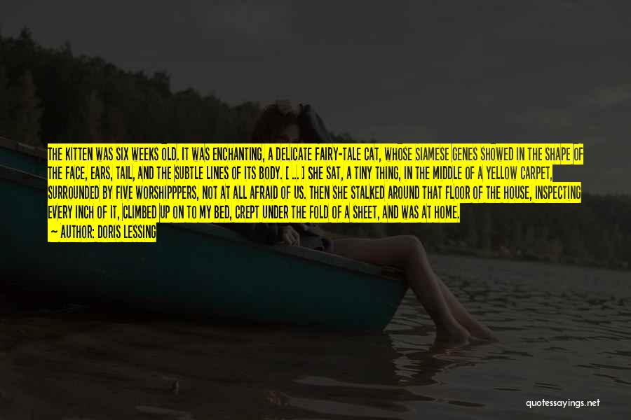 Doris Lessing Quotes: The Kitten Was Six Weeks Old. It Was Enchanting, A Delicate Fairy-tale Cat, Whose Siamese Genes Showed In The Shape