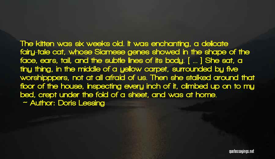 Doris Lessing Quotes: The Kitten Was Six Weeks Old. It Was Enchanting, A Delicate Fairy-tale Cat, Whose Siamese Genes Showed In The Shape