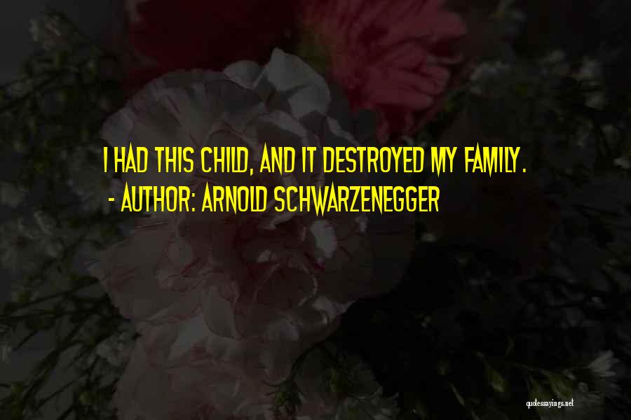 Arnold Schwarzenegger Quotes: I Had This Child, And It Destroyed My Family.