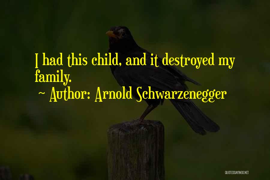 Arnold Schwarzenegger Quotes: I Had This Child, And It Destroyed My Family.