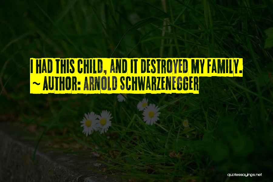 Arnold Schwarzenegger Quotes: I Had This Child, And It Destroyed My Family.