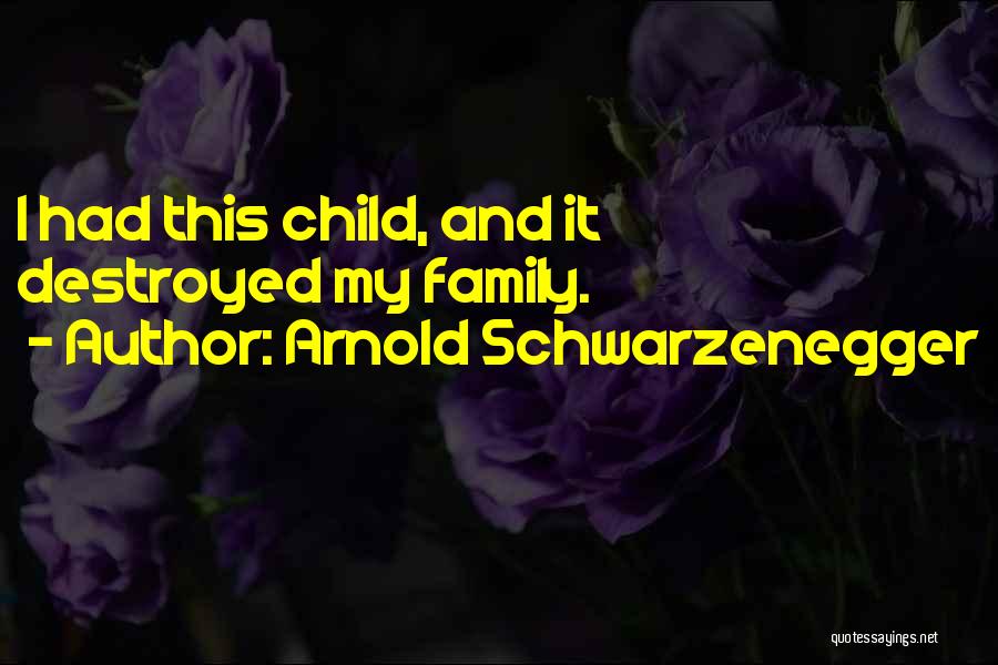 Arnold Schwarzenegger Quotes: I Had This Child, And It Destroyed My Family.