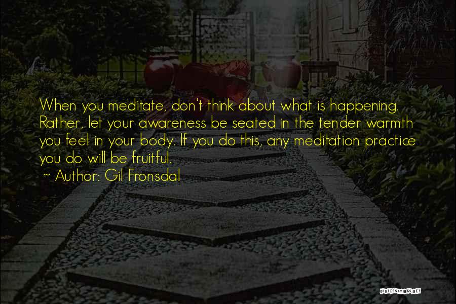Gil Fronsdal Quotes: When You Meditate, Don't Think About What Is Happening. Rather, Let Your Awareness Be Seated In The Tender Warmth You