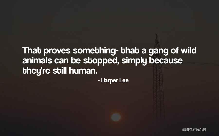 23350 Quotes By Harper Lee 23350 Quotes By Harper Lee