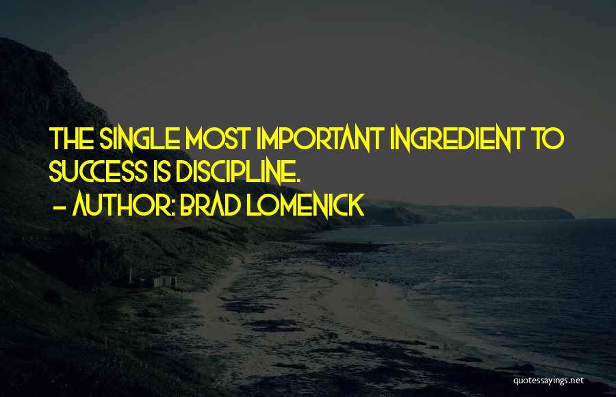 Brad Lomenick Quotes: The Single Most Important Ingredient To Success Is Discipline.