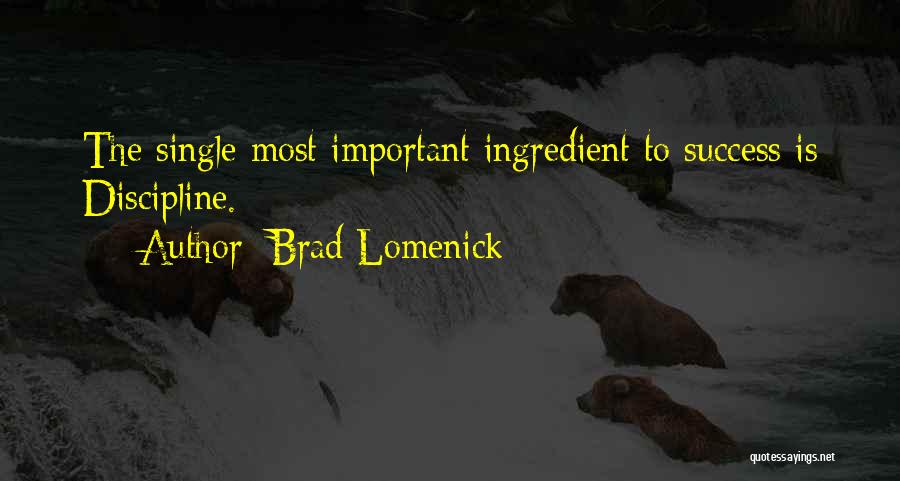 Brad Lomenick Quotes: The Single Most Important Ingredient To Success Is Discipline.