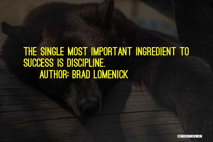 Brad Lomenick Quotes: The Single Most Important Ingredient To Success Is Discipline.