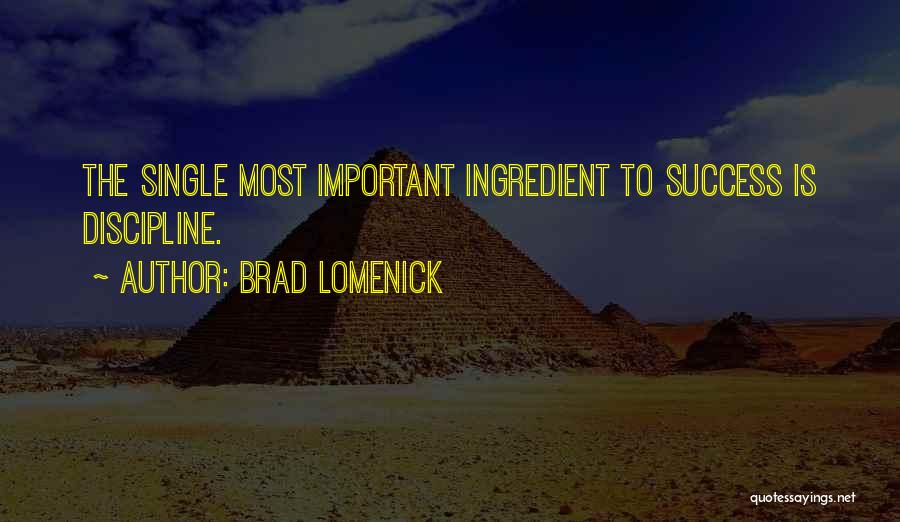 Brad Lomenick Quotes: The Single Most Important Ingredient To Success Is Discipline.