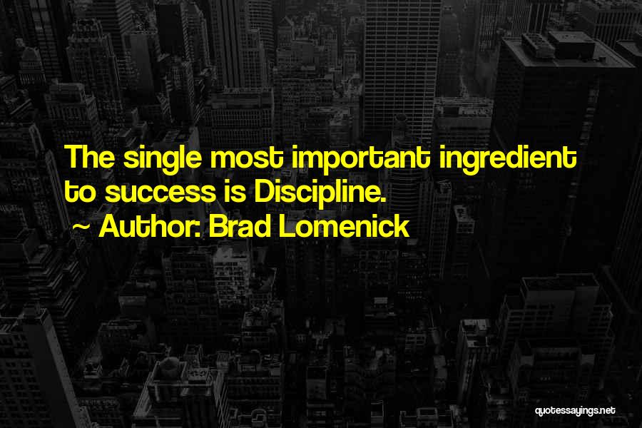 Brad Lomenick Quotes: The Single Most Important Ingredient To Success Is Discipline.